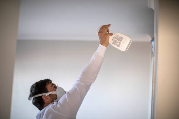 Best Mold Remediation for Specific Building Types in Twentynine Palms, CA