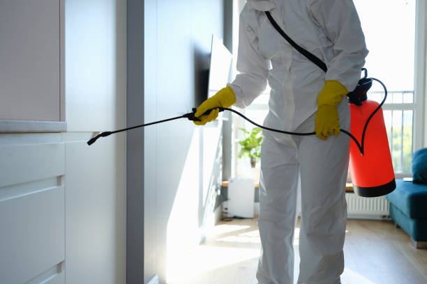 Best Crawl Space Mold Remediation in Twentynine Palms, CA