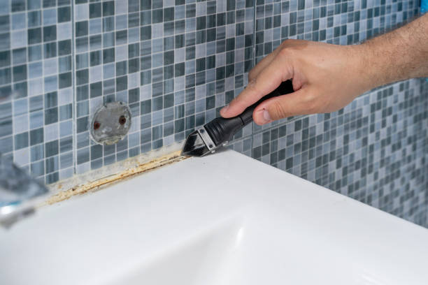 Best Insurance-Related Mold Remediation in Twentynine Palms, CA